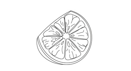 Fresh citrus slice artfully sketched for vibrant culinary and design projects, adding a burst of flavor and style