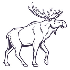 Fototapeta premium vector illustration of a deer