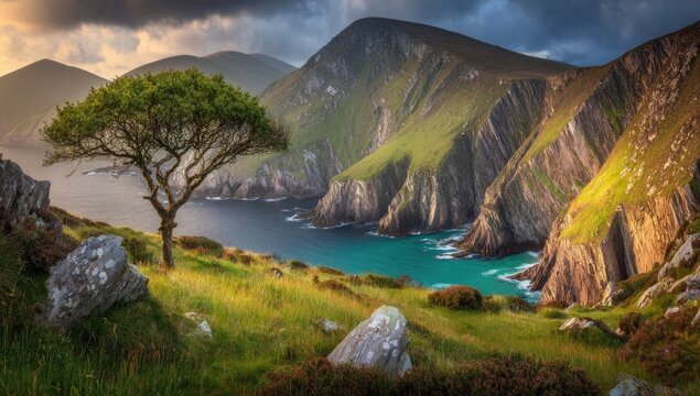 Dramatic coastal landscape with lone tree