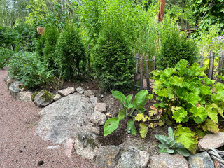 Obraz premium garden in the park