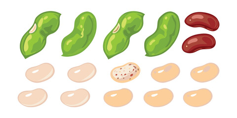 An Assortment of Colorful Beans and Pods Presented on a White Background Showcasing Legumes and Nutritional Plant-Based Food