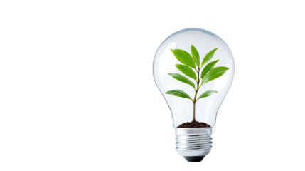 A light bulb containing a small plant symbolizes eco-friendly energy solutions and sustainability.