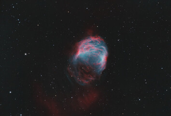 Medusa Nebula