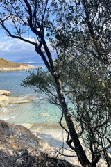 Rocky coastal bay with turquoise clear water framed by Mediterranean trees and vegetation on the island of Corsica in bright summer light