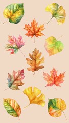 Autumn leaf element set