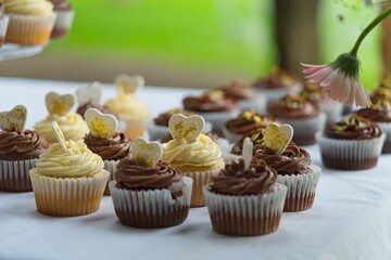 Heart-Topped Chocolate and Vanilla Cupcakes