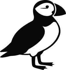 A collection of funny and cute cartoon penguins, including one with ice cream and another on a branch, is illustrated in a simple vector art style