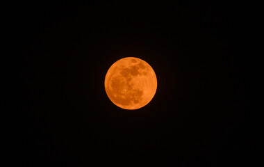 Obraz premium The night sky is being illuminated by May's full Flower Moon. May's full moon, also known as 