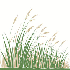 Tall grasses swaying gently in the breeze, a meadow of tranquility and nature's simple beauty, Grasses swaying in the breeze in a simple illustration