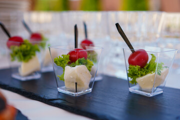 Fresh appetizers featuring cherry tomatoes and cheese served at a summer outdoor event