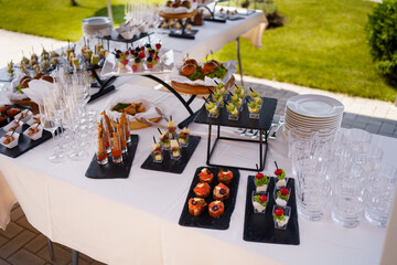 Elegant catering setup featuring gourmet appetizers and desserts at an outdoor event during a sunny afternoon