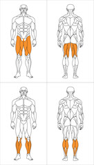 sport human figure bottom fitness
