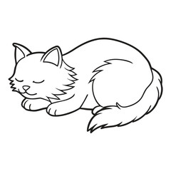 Cute fluffy cat sleeping peacefully in a ballb