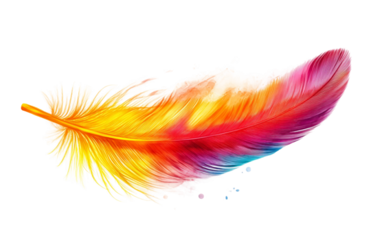 Elegant feather isolated on transparent background