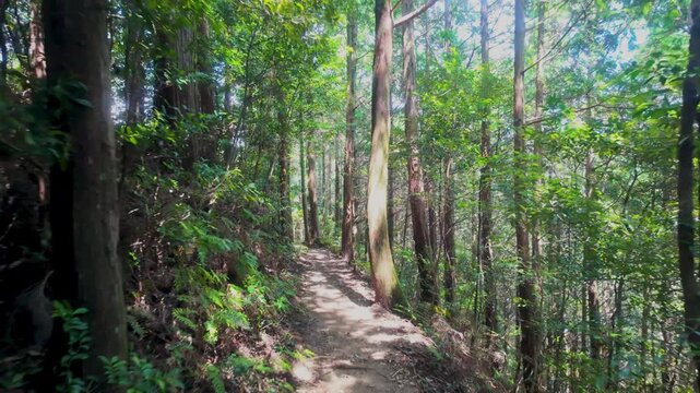 POV Walk on the Kumano Kodo Nakahechi: From Dain\mon Oji Ruins to Jujo Oji Ruins, Tanabe, Wakayama (Part 6)　世界遺産 熊野古道 中辺路「大門王子から重點(十丈)王子へ」和歌山県田辺市中辺路町⑥