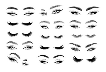 Glamorous eyelash and eyebrow vector set for makeup artists and beauty brands. Includes long lashes, smoky liner, and natural brow shapes.