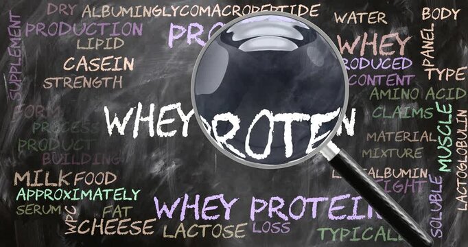 Whey Protein being studied, examined - under close inspection. Most important subjects and ideas closely related to whey protein written on a blackboard inspected by a magnifying glass. Can be looped