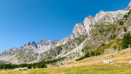 Beautiful mountain landscape with green pastures, meadows and woods of larches in Val Buscagna, in the Alpe Devero National Park, Piedmont, Italy.