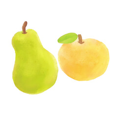 洋梨 梨 イラスト