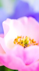 Close-up view of a delicate pink flower.
