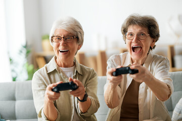 Two senior women playing console game