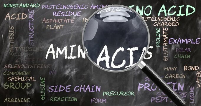 Amino Acids being studied, examined - under close inspection. Most important subjects and ideas closely related to amino acids written on a blackboard inspected by a magnifying glass. Can be looped