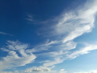 Cirrus clouds are thin, fibrous, silky-looking clouds that form at high altitudes (above 6,000 meters).