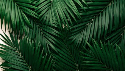 A plant with green leaves on it background elements depth figure design style motion composition gesture scene movement backgrounds frame creative illustration expression emotion colorful