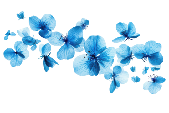 Cluster of blue watercolor butterflies isolated on transparent background. Flying blue flowers isolated on white background.