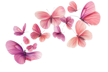 Pink watercolor butterflies fluttering in a group isolated on transparent background. Flying pink petals isolated on white background.