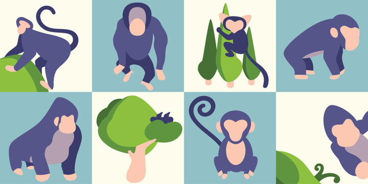 Different monkeys types icons set, flat style, simple style, vector.
