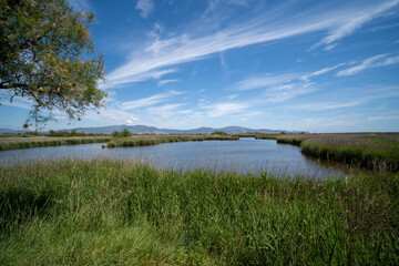 View of a beautiful lagoon landscape