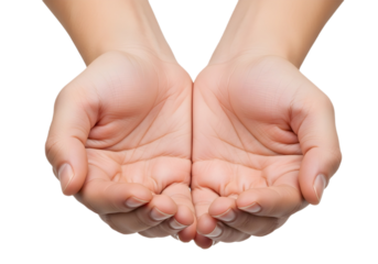 Two open hands palms up in a receiving position on transparent background