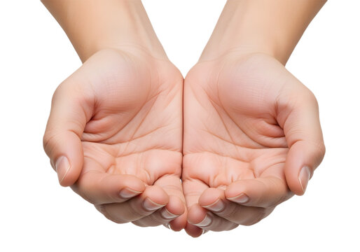 Two open hands palms up in a receiving position on transparent background