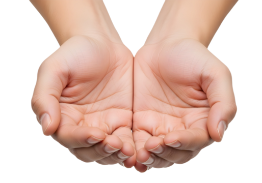 Two open hands palms up in a receiving position on transparent background