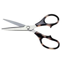 A pair of professional scissors on transparent background