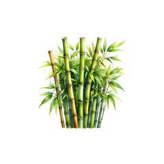 Obraz premium Image of a lush bamboo forest with intricate leaves and branches
