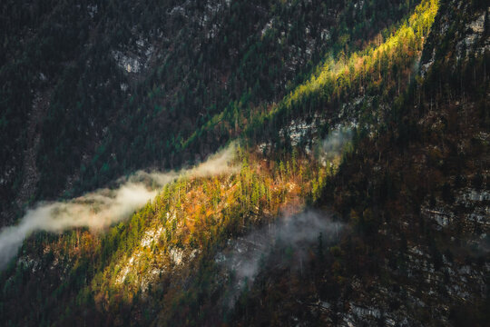 View of a vibrant slash of sunlight igniting the autumn foliage on a steep mountainside, with mist clinging to the trees, Hallstatt, Austria.