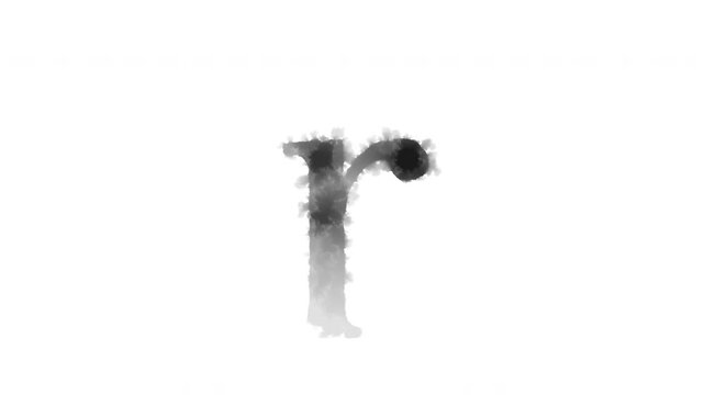 The lowercase letter "r" appears as if ink has bled onto the paper, serif