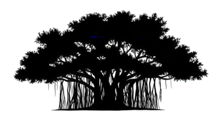 Majestic Banyan Tree with Hanging Aerial Roots Evokes Natural Serenity and Timeless Wisdom