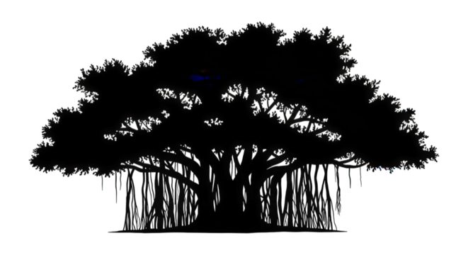 Majestic Banyan Tree with Hanging Aerial Roots Evokes Natural Serenity and Timeless Wisdom