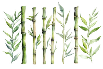 Obraz premium Watercolor painting of bamboo stalks with green leaves isolated on transparent background. Green bamboo stalks with leaves in a watercolor isolated on white background.
