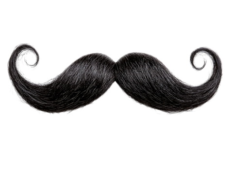 Detailed black handlebar mustache with curled ends isolated on transparent background