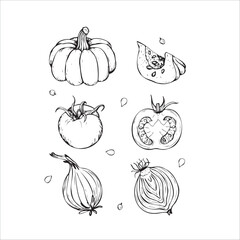 Hand-Drawn Vegetables Sketch Set of Pumpkin, Tomato and Onion