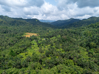 Fototapeta premium Aerial view of São Tomé’s tropical coastline near São João dos Angolares, with turquoise waters, black volcanic rocks, and dense palm forest.