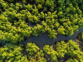 Aerial view of S&atilde;o Tom&eacute;&rsquo;s tropical coastline near S&atilde;o Jo&atilde;o dos Angolares, with turquoise waters, black volcanic rocks, and dense palm forest.