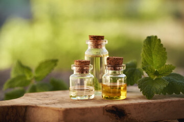 Bottles of melissa essential oil with melissa twigs