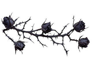 Dark gothic dried roses on a thorny branch isolated on transparent background