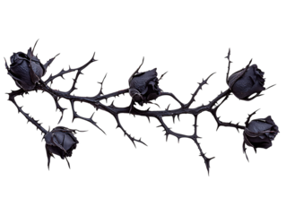 Dark gothic dried roses on a thorny branch isolated on transparent background