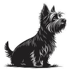 black yorkshire terrier Silhouette Vector, High Quality Illustration on White Background